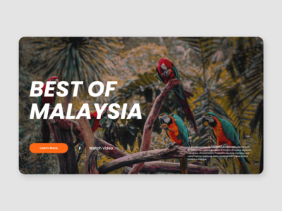 网页登陆概念(Web Landing Concept)