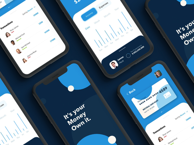 银行应用程序免费赠品(Banking App Freebie)