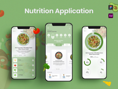 营养应用设计(Nutrition Application Design)
