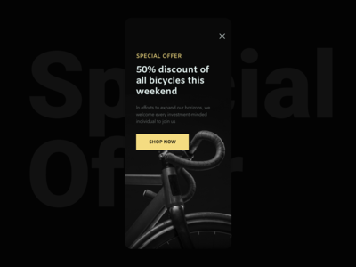 特价(Special Offer)