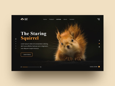 松鼠网探索(Squirrel web Exploration)