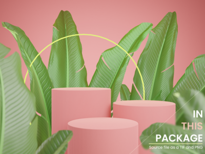 舞台样机 04(Stage Mockup 04)