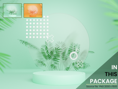 舞台样机 09(Stage Mockup 09)