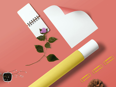 固定品牌模型(Stationary  Branding Mock-Up)