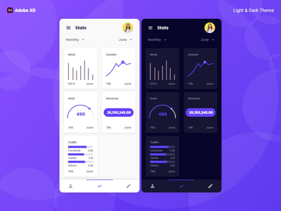 统计页面设计 - Adobe XD（浅色和深色）(Stats Page Design - Adobe XD (Light & Dark))