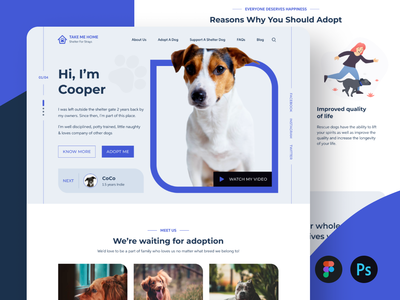 带我回家动物收养收容所登陆页面用户界面(Take Me Home Animal Adoption Shelter Landing Page UI)