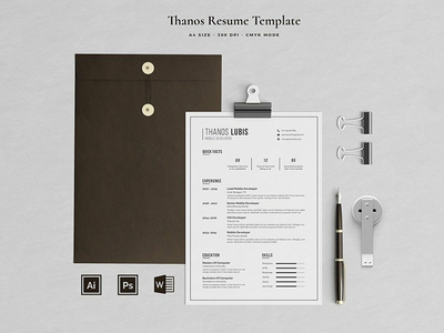 干净的简历模板 Lubis(Clean Resume Template Lubis)