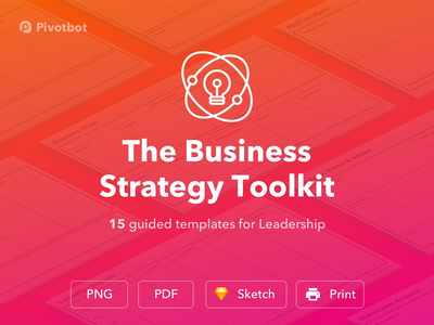 商业战略工具包(The Business Strategy Toolkit)