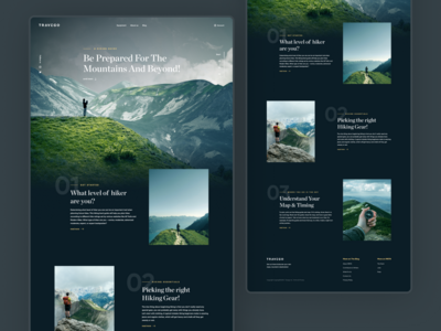 TravelGo 登陆页面(TraveGo landing page)