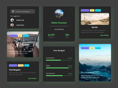旅行仪表板组件深色主题(Travel Dashboard Components Dark Theme)