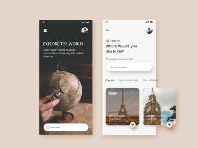 旅游应用概念(Travel App Concept)