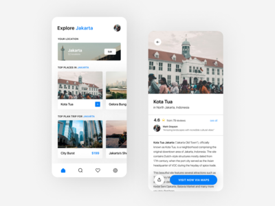 旅行 iOS 应用程序 UI 概念(Travel iOS App UI Concept)