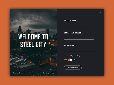 注册页面(Signup Page)
