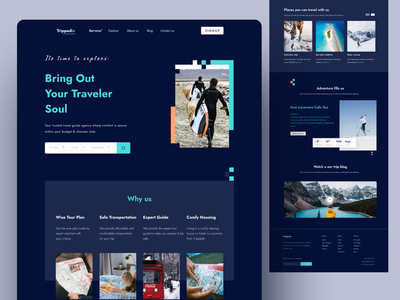 绊倒 - 旅行社网站(Tripped in - Travel Agency Website)