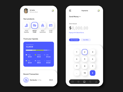 金融应用概念(Financial App Concept)