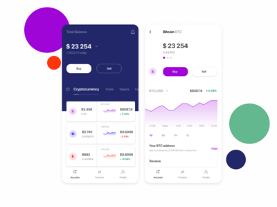 多币种钱包 UI 概念(Multicurrency Wallet UI Concept)