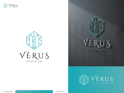 专业字母 V 豪华标志模板(Profesional letter V luxury logo template)