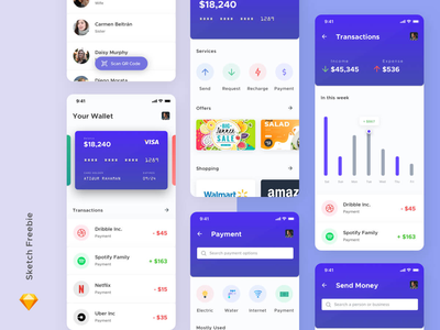 钱包应用概念(Wallet App Concept)