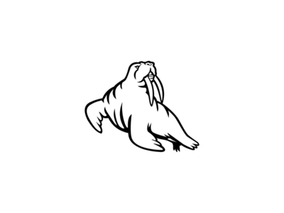 长牙大西洋或太平洋海象吉祥物黑白(Long-tusked Atlantic or Pacific Walrus Mascot Black and White)