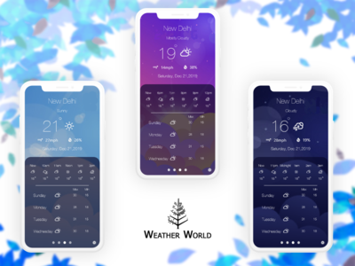 天气世界应用程序(Weather World App)