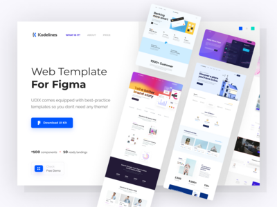 网页登陆页面(Web Landing Page)