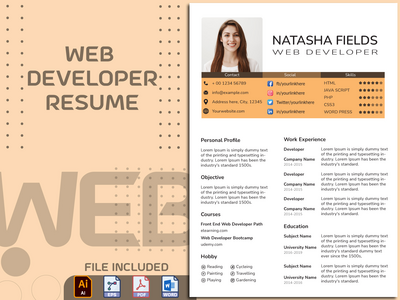 Web 开发人员简历/简历模板(Web Developer CV / Resume Template)