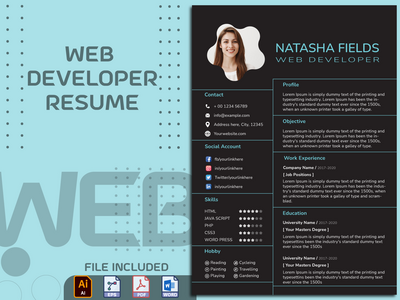 Web 开发人员简历/简历模板(Web Developer CV / Resume Template)