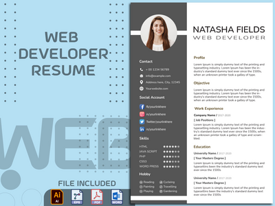Web 开发人员简历/简历模板(Web Developer CV / Resume Template)