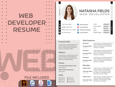 Web 开发人员简历/简历模板(Web Developer CV / Resume Template)