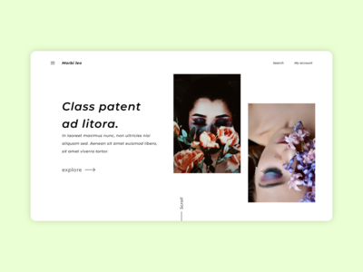 网页登陆概念(Web Landing Concept)