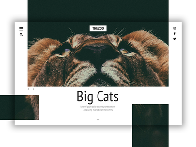 英雄标题 - 大猫(Hero Header - Big Cats)