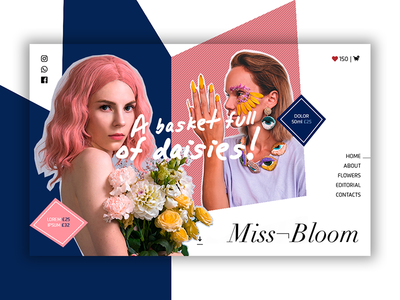 英雄头球 - 布鲁姆小姐(Hero Header - Miss-Bloom)