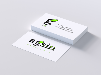 名片挑战 - Agsin 品牌标识(Business Card Challenge - Agsin Brand Identity)