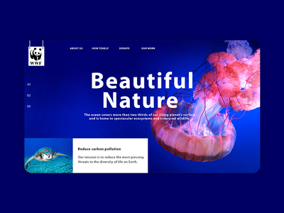 美丽的网络(Beautiful Web)