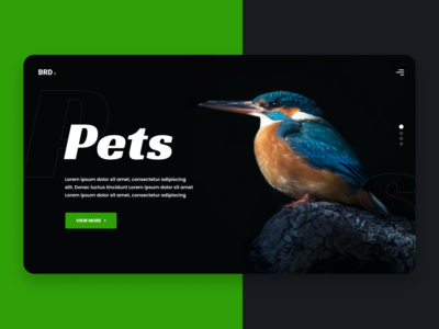 鸟类网络英雄 2(Birds Web Hero 2)