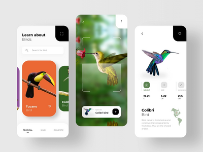 鸟类搜索应用程序(Bird Search App)