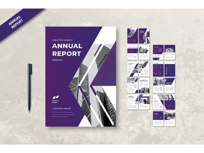 公司年报(Annual Report About Company)
