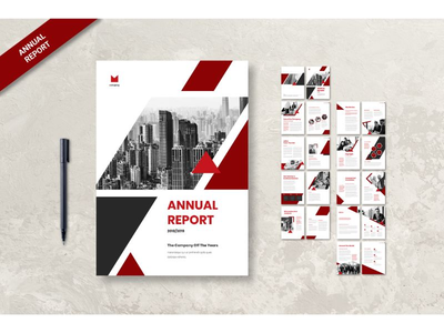 年报公司回顾(Annual Report Companies Review)
