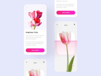 植物鉴定(Plant Identification)