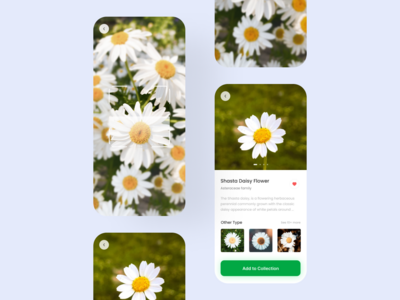 植物鉴定(Plant Identification)