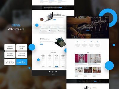 Clina 商业主页 PSD Web 模板(Clina Business Homepage PSD Web Template)