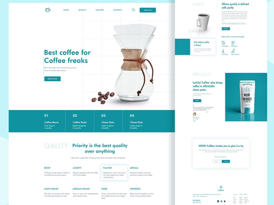 SUMMERON - 太阳镜销售登陆页面(SUMMERON - Sunglasses selling landing Page)