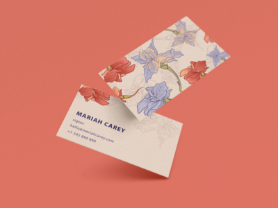 现代名片设计(Modern Business Card Design)