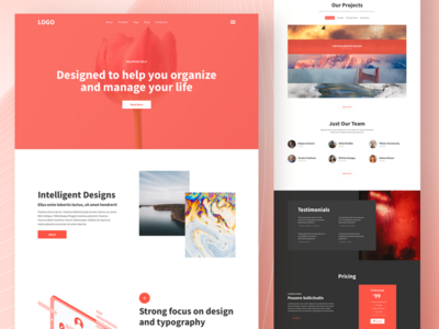公司登陆页面(Company Landing Page)