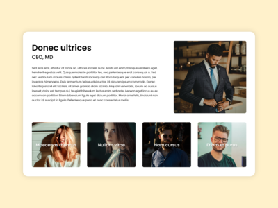公司团队组合-网络概念(Company Team Portfolio - Web Concept)