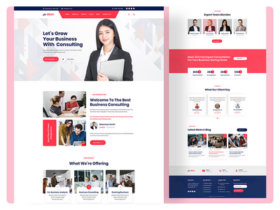 咨询登陆页面模板(Consulting Landing Page Templates)