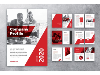 公司简介 业务发展(Company Profile Business Development)