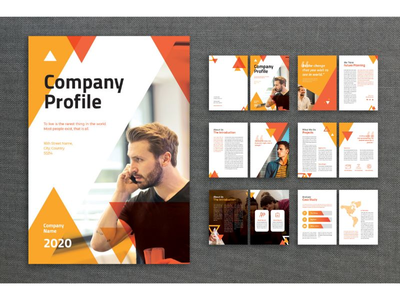 公司简介 公司资料(Company Profile Corporate Information)