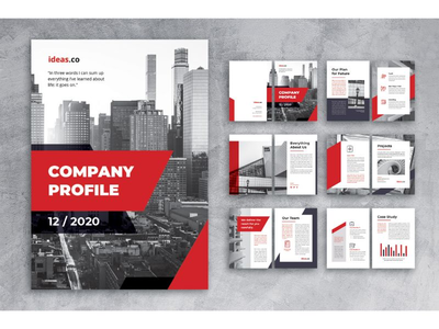 公司简介 经营理念(Company Profile Business Ideas)