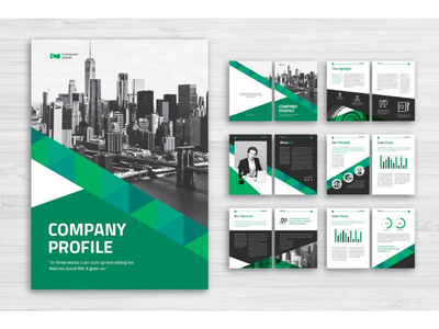 公司简介 创业事业(Company Profile Startup Business)